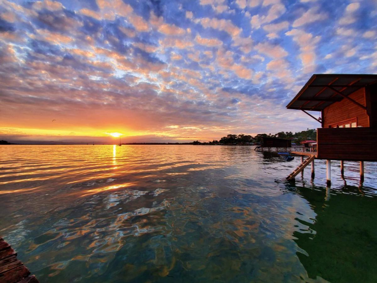 The Sea Monkey Hotel Bocas del Toro Eksteriør billede